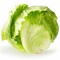 Lettuce Boi