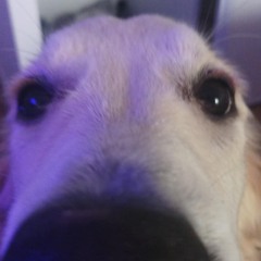 Nuu