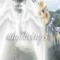 pluggangel