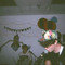 @r@k@w@_$uck
