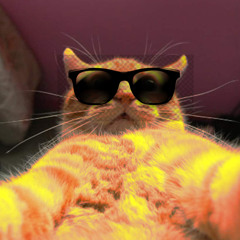AnTon