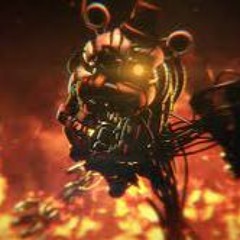 Alexander Middendorff