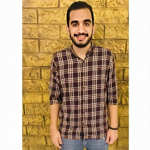 abdelhalim fakhry’s avatar