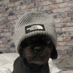 Alfie Winston