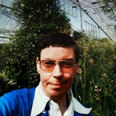Allan Ernits
