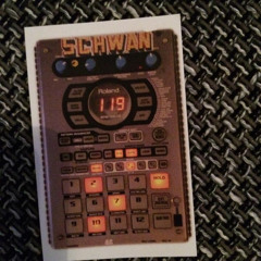 dj schwan