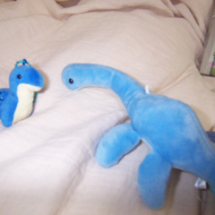 机の片隅フラミンゴ