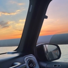 🐬