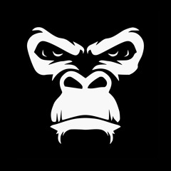 Monkey B Studio