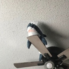 Undercover_ Pigeon