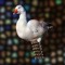 Spring Goose