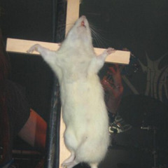 RATGAL INT