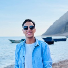 Mohamed Reda