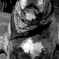 Kiko Barrera