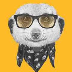 LOFI_MEERKATS