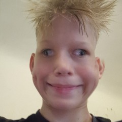 LIL MIKE