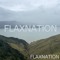 Flaxnation