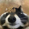 Small_Cheeze