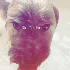rico