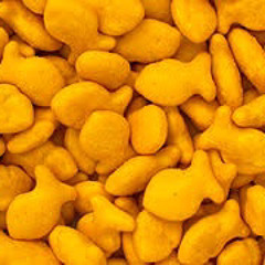 Goldfish