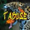T'abuse