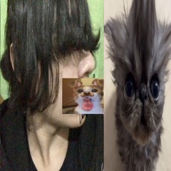 yûrei la plaga