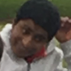 Zander
