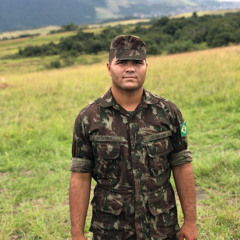 henrique silva