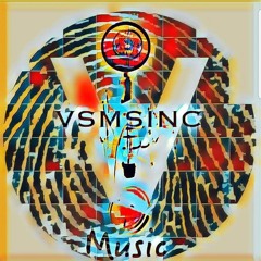VSMSINC