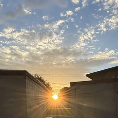 sun