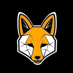 LiorEco_Lerfox