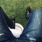 Hicham7