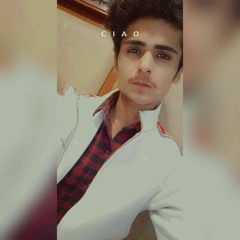 Salman Ali Chishti
