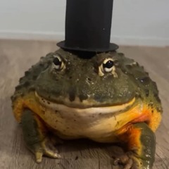 SirFroghamHatt