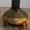 SirFroghamHatt