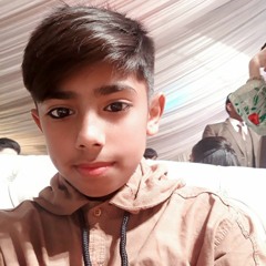 Taha Rajput