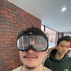 andus_mandus