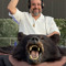 BearSkinRug