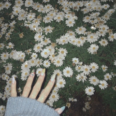 Ting Syy