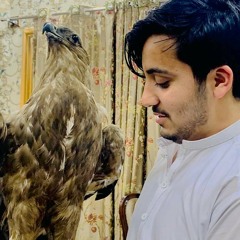 Hamid Hussain