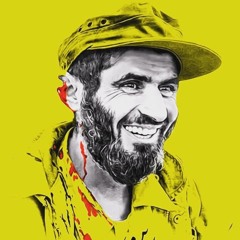 mohammad mohammadi