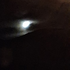 Moon Dancer