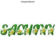 Xasachi