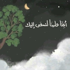 ولاء إبراهيم