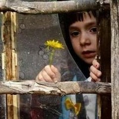 حنان العبد