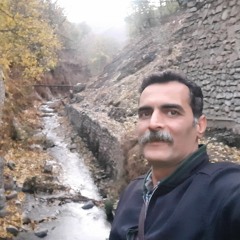 majid