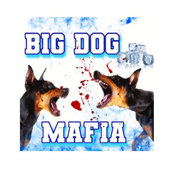 BIG DOG MAFIA !!! 🐾