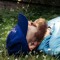 Quiet Man