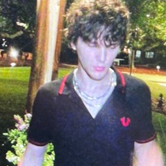 shinin webs