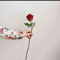 FayrozaMaher22
